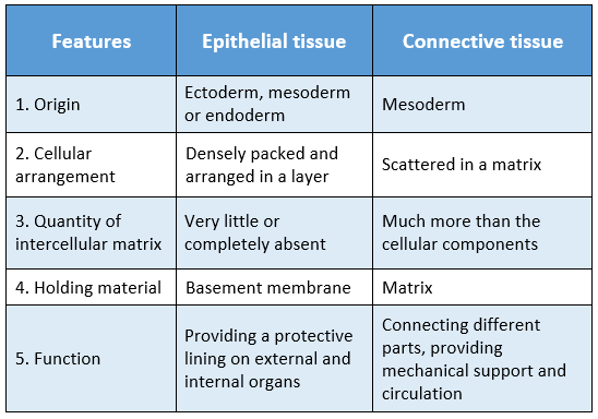 WBBSE Solutions For Class 9 Life Science And Environment Chapter 2 Levels Of Organization Of Life Plant Tissue And Its Distribution epithelial and connective tissue differences