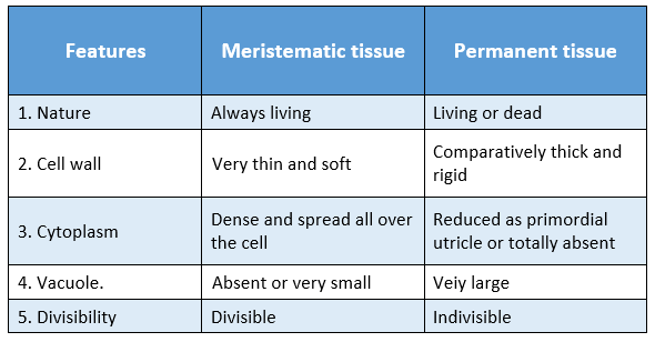 WBBSE Solutions For Class 9 Life Science And Environment Chapter 2 Levels Of Organization Of Life Plant Tissue And Its Distribution features between meristematic and permanent tissue