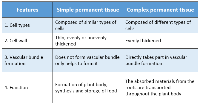 WBBSE Solutions For Class 9 Life Science And Environment Chapter 2 Levels Of Organization Of Life Plant Tissue And Its Distribution features between simple and complex permanent tissue