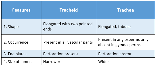 WBBSE Solutions For Class 9 Life Science And Environment Chapter 2 Levels Of Organization Of Life Plant Tissue And Its Distribution features between tracheid and trachea