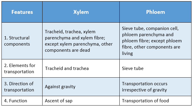 WBBSE Solutions For Class 9 Life Science And Environment Chapter 2 Levels Of Organization Of Life Plant Tissue And Its Distribution features between xylem and phloem