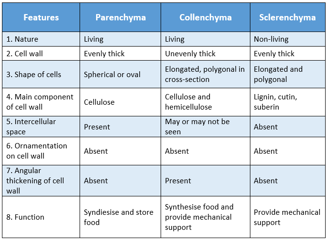 WBBSE Solutions For Class 9 Life Science And Environment Chapter 2 Levels Of Organization Of Life Plant Tissue And Its Distribution features of parenchyma collenchyma and sclerenchyma