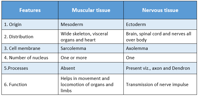 WBBSE Solutions For Class 9 Life Science And Environment Chapter 2 Levels Of Organization Of Life Plant Tissue And Its Distribution muscular tissue and nervous tissue diferences