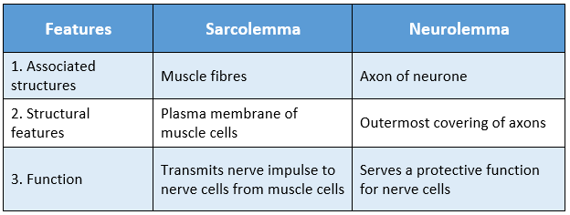 WBBSE Solutions For Class 9 Life Science And Environment Chapter 2 Levels Of Organization Of Life Plant Tissue And Its Distribution sarcolemma and neurolemma differences