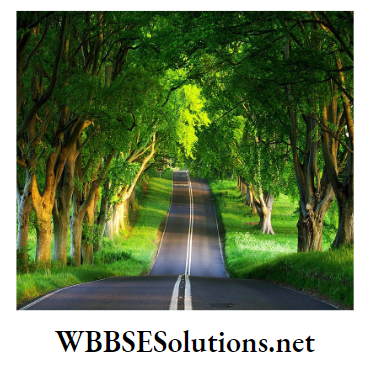 WBBSE Solutions For Class 9 Life Science And Environment Chapter 3 Physiological Processes Of Life Excretion shedding of leaves
