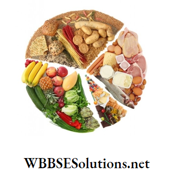 WBBSE Solutions For Class 9 Life Science And Environment Chapter 3 Physiological Processes Of Life Nutrition balanced diet