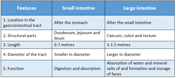 WBBSE Solutions For Class 9 Life Science And Environment Chapter 3 Physiological Processes Of Life Nutrition difference between small and large intestines