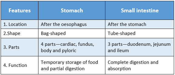 WBBSE Solutions For Class 9 Life Science And Environment Chapter 3 Physiological Processes Of Life Nutrition differences between stomach and small intestine