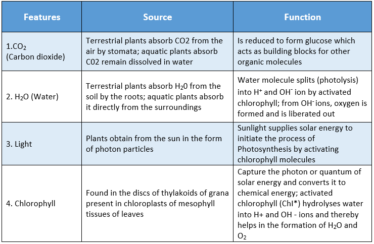 WBBSE Solutions For Class 9 Life Science And Environment Chapter 3 Physiological Processes Of Life Photosynthesis basic raw materials photosynthesis