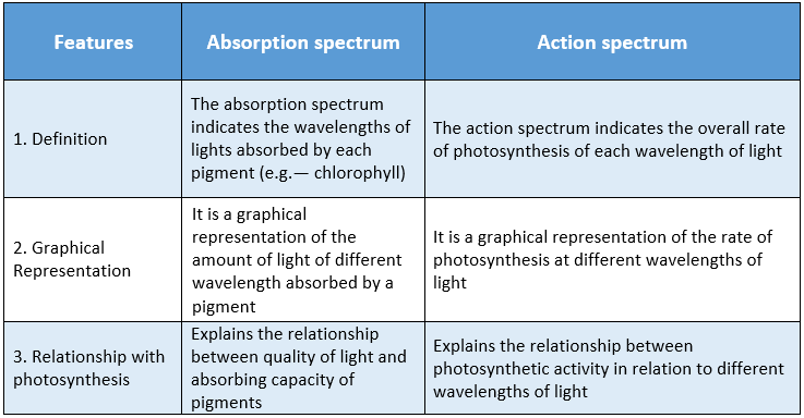 WBBSE Solutions For Class 9 Life Science And Environment Chapter 3 Physiological Processes Of Life Photosynthesis difference between absorption and action spectrum