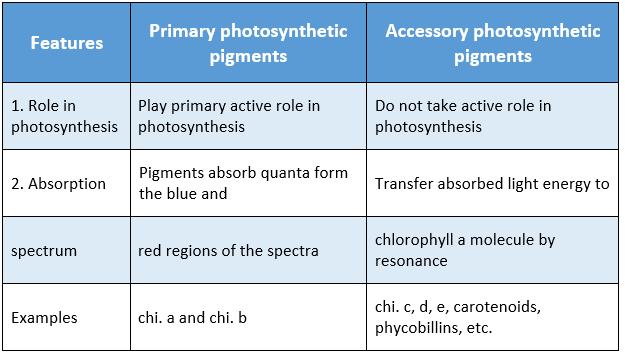 WBBSE Solutions For Class 9 Life Science And Environment Chapter 3 Physiological Processes Of Life Photosynthesis differences between primary and accessory pigments