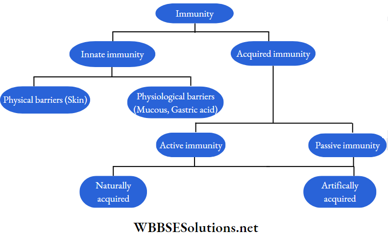 WBBSE Solutions For Class 9 Life Science And Environment Chapter 4 Biology And Human Welfare Giology And Human Welfare immunity