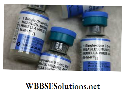 WBBSE Solutions For Class 9 Life Science And Environment Chapter 4 Biology And Human Welfare mmr vaccine