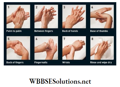 WBBSE Solutions For Class 9 Life Science And Environment Chapter 4 Biology And Human Welfare proper hand washing