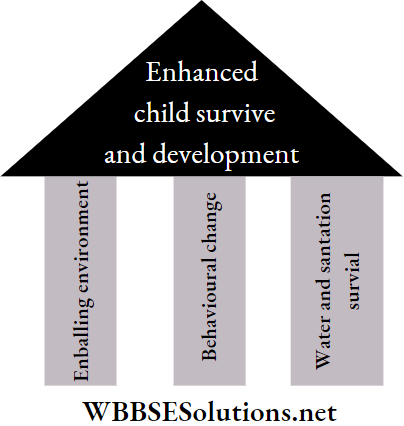 WBBSE Solutions For Class 9 Life Science And Environment Chapter 4 Biology And Human Welfare three pillar approach of wash programme