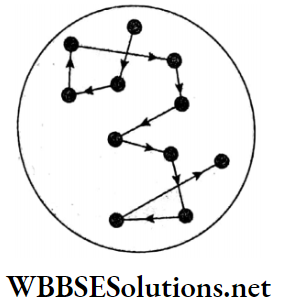 WBBSE Solutions For Class 9 Physical Science Chapter 4 Matter Solution Topic A Brownian Motion
