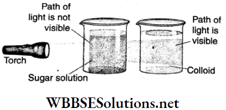 WBBSE Solutions For Class 9 Physical Science Chapter 4 Matter Solution Topic A Tyndall Effect