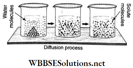 WBBSE Solutions For Class 9 Physical Science Chapter 4 Matter Solution Topic D Diffusion Process