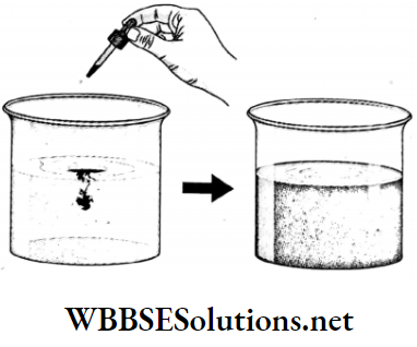 WBBSE Solutions For Class 9 Physical Science Chapter 4 Matter Solution Topic D Diffusion