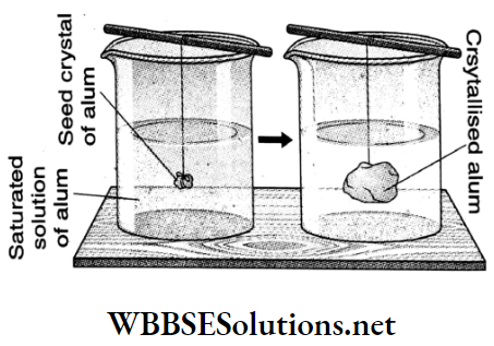 WBBSE Solutions For Class 9 Physical Science Chapter 4 Matter Solution Topic D Overgrowth What Is Seed Crystal