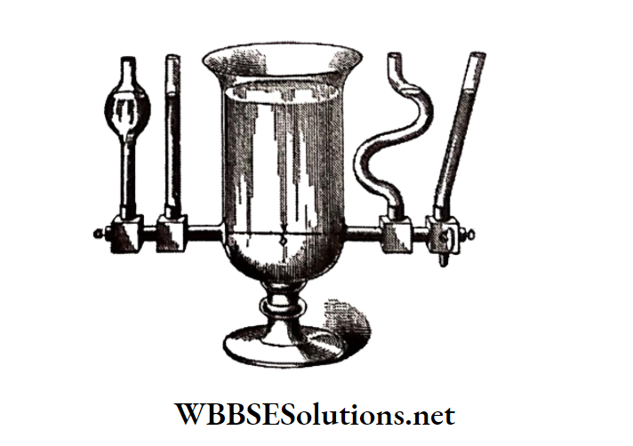WBBSE Solutions for class 6 chapter 7 Statics and dynamic of fluid(liquid and gas) A number tubes and vessels are in communication with one flows each tube