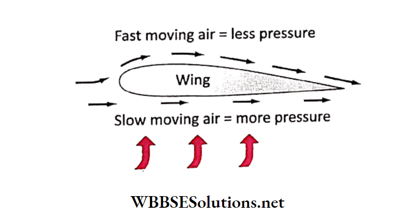 WBBSE Solutions for class 6 chapter 7 Statics and dynamic of fluid(liquid and gas) fast moving and slow moving