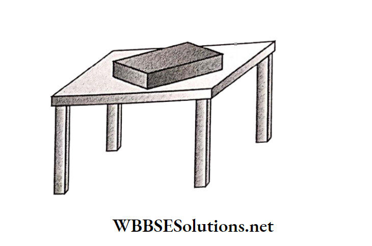WBBSE Solutions for class 6 chapter 7 Statics and dynamic of fluid(liquid and gas) pressure exerted on the surface