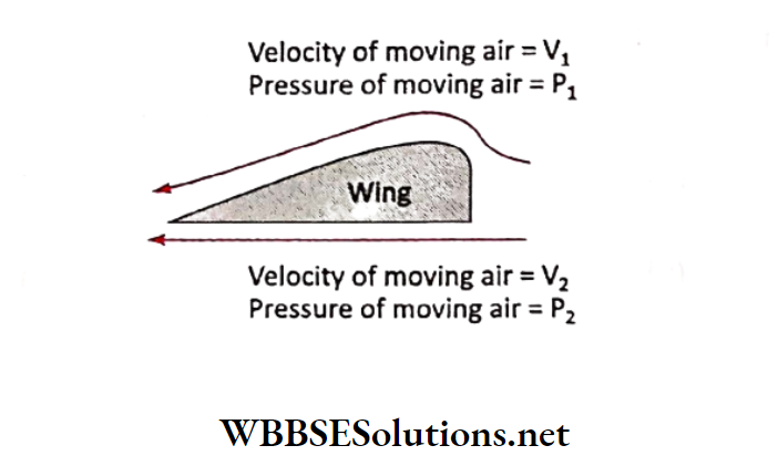 WBBSE Solutions for class 6 chapter 7 Statics and dynamic of fluid(liquid and gas) volocity of moving air