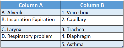 WBBSE Solutions for class 6 chapter 8 the human body match the columns lungs table 1