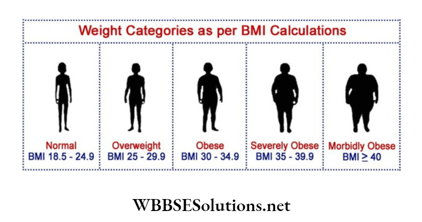 WBBSE Solutions for class 6 chapter 8 the human body weight categoories as per bmi calculaton