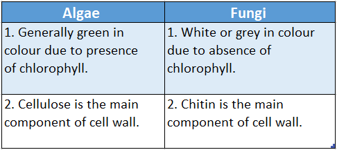 WBBSE Solutions for class 6 school science chapter 10 biodiversity and its classification algae and fungi