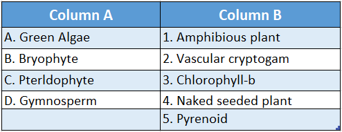 WBBSE Solutions for class 6 school science chapter 10 biodiversity and its classification match the columns table 4