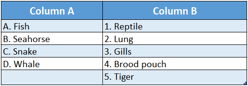 WBBSE Solutions for class 6 school science chapter 11 habits and habitats of some important animals the habits and behaviour of some animals match the column table 3