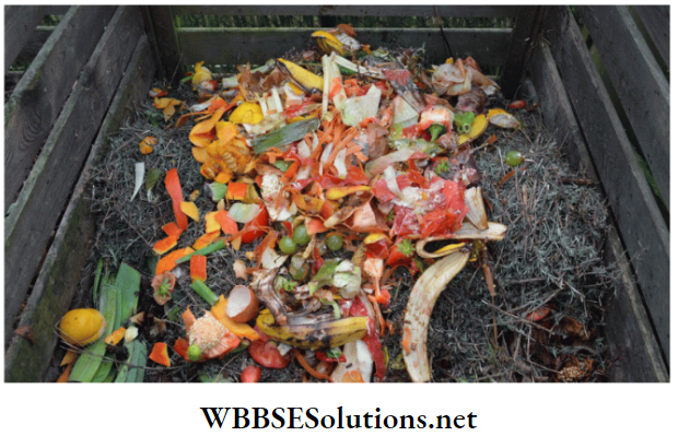 WBBSE Solutions for class 6 school science chapter 12 waste products biodegradable waste