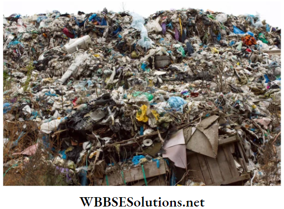 WBBSE Solutions for class 6 school science chapter 12 waste products inorganic waste