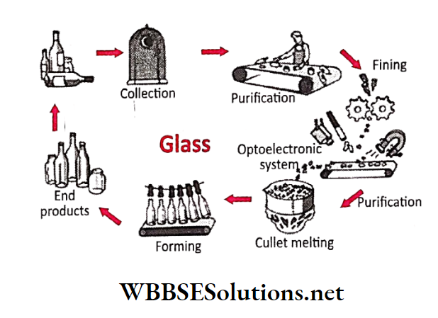 WBBSE Solutions for class 6 school science chapter 12 waste products recycling glass