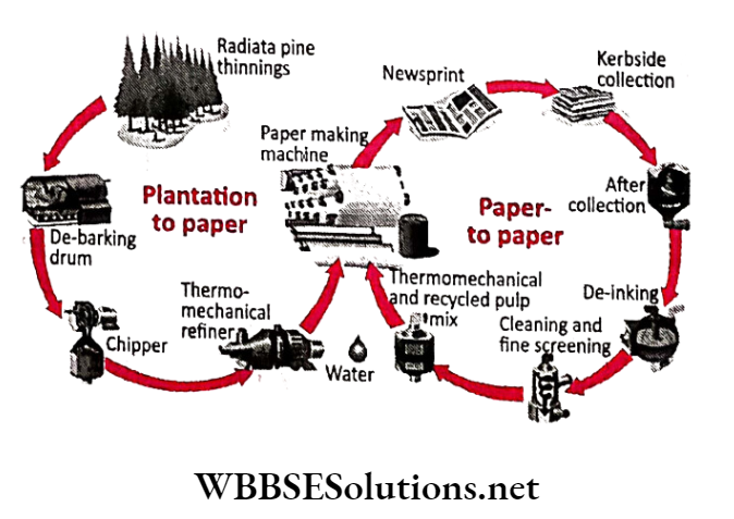 WBBSE Solutions for class 6 school science chapter 12 waste products recycling of paper waste