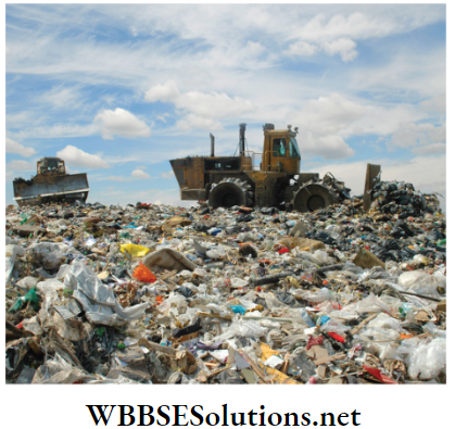 WBBSE Solutions for class 6 school science chapter 12 waste products solid waste