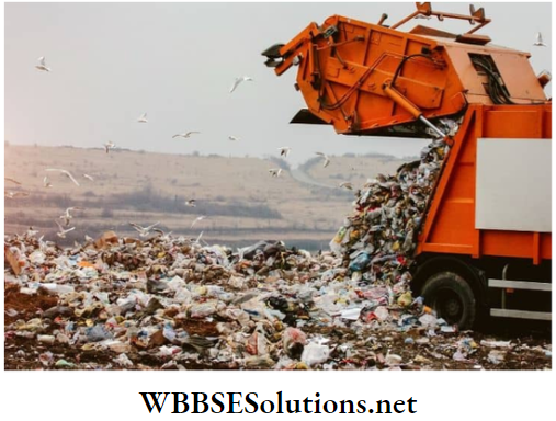 WBBSE Solutions for class 6 school science chapter 12 waste products waste products