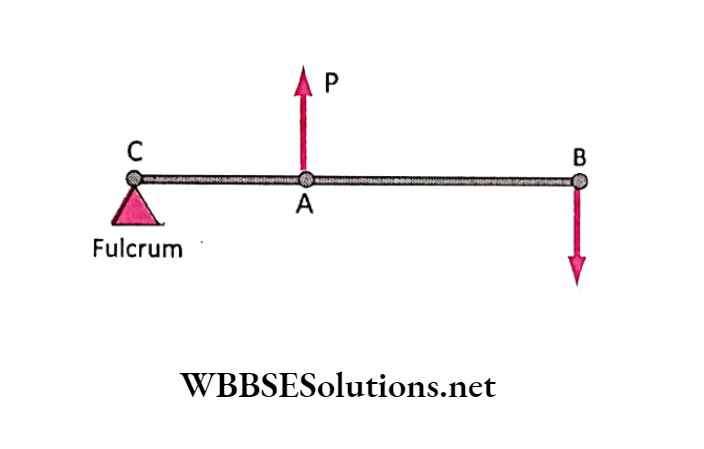 WBBSE Solutions for class 6 school science chapter 9 common machines a third class levers