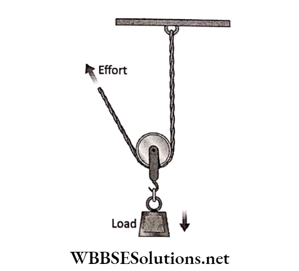 WBBSE Solutions for class 6 school science chapter 9 common machines movable pully