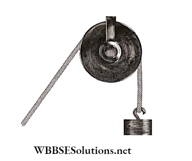 WBBSE Solutions for class 6 school science chapter 9 common machines the pulley