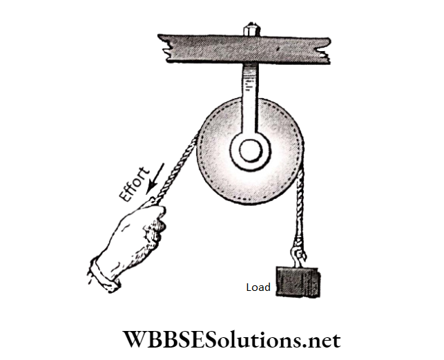 WBBSE Solutions for school science class 6 chapter 9 common machines a fixed pullry