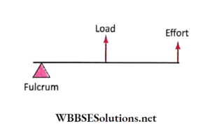 WBBSE Solutions for school science class 6 chapter 9 common machines advantages of the lever