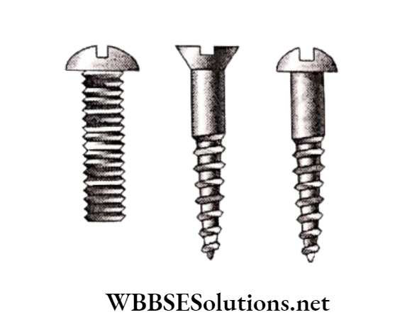 WBBSE Solutions for school science class 6 chapter 9 common machines body of a screw