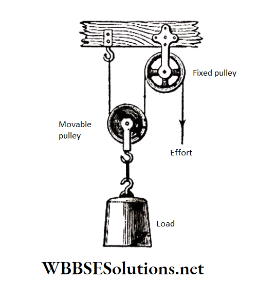 WBBSE Solutions for school science class 6 chapter 9 common machines compound pulley