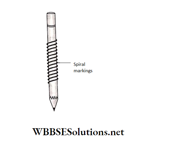 WBBSE Solutions for school science class 6 chapter 9 common machines create spiral markings on the pencils body