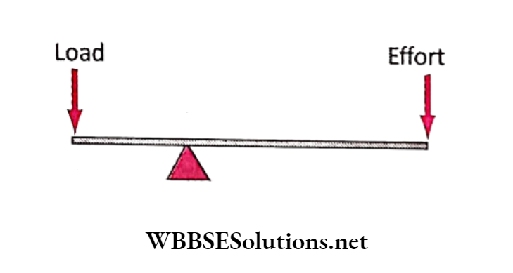 WBBSE Solutions for school science class 6 chapter 9 common machines effort