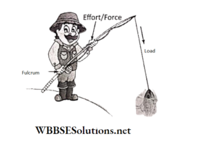 WBBSE Solutions for school science class 6 chapter 9 common machines has load the fulcrum