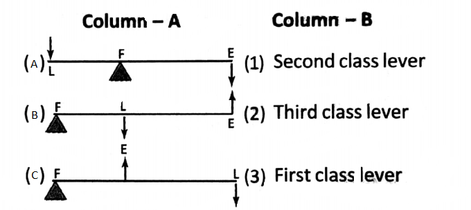 WBBSE Solutions for school science class 6 chapter 9 common machines match the columns table 2